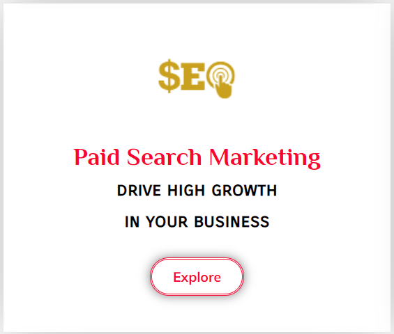 paid-search-marketing-services